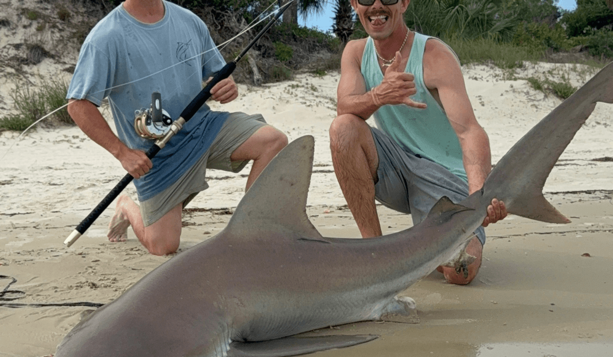 8-Hour Extended Shark Fishing Adventure